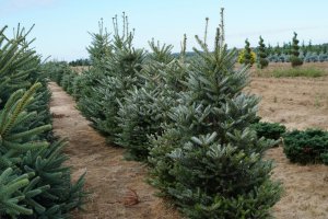 Акция при заключении Договора!